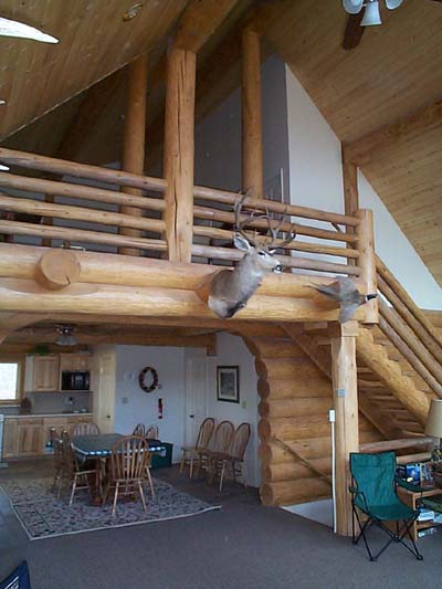 Log Home Interior