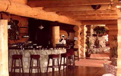 Log Home Interior