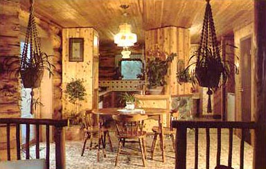 Log Home Interior