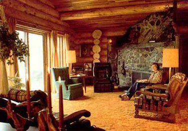 Log Home Interior